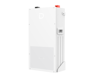 14.3KWH Dyness Powerbrick Lithium Battery