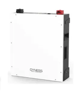 5.12KWH DYNESS Lithium Battery BX51100(51.2V100AH )