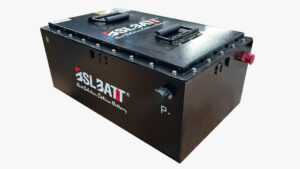 BSL Golf Cart Battery 51.2V 80Ah with Charger